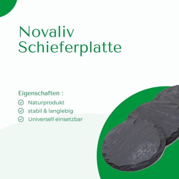 Schieferplatten 20x0,5 rund Untersetzer Tischplatz  20cm Schiefer