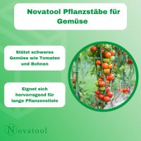 Novatool 5 Pflanzstäbe 60 cm grün 8 mm Durchmesser Rankstäbe aus kunststoffummantelten Metall Rankhilfe Tomatenstäbe Blumenhalter