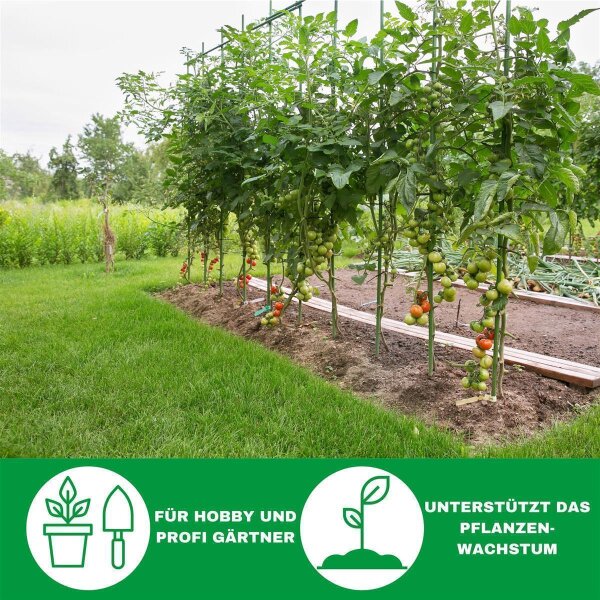 BEADNOVA 150 Stück Pflanzenclips - Gartenklammern Für Tomaten, Ranken & Gemüse