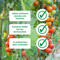 Novatool 5 Tomatenstäbe 150 cm 5 mm Durchmesser Tomatenspiralstäbe verzinkt Rankstäbe Tomatenstangen Rankhilfe Blumenhalter Pflanzstäbe