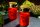 Grablichter rot 2x Dauerbrenner Grablicht LED Kerzen flackernde Flamme LED Grabkerze mit Batterie Friedhofskerze Gedenkkerze Grablaterne Ewiges Licht Trauerkerze