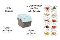 Novaliv Gemüsebox Set TÜRKIS light Kartoffel Aufbewahrungsbox Vorratsdoseset Zwiebeltopf Knoblauchbox Obsttopf