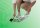Novaliv 1x Handfeger Arenga u. Elastonborsten Mix Besen Handbesen Auto Kehrwisch Industriehandfeger Schneefeger Schneebesen Hand brush Dust pan