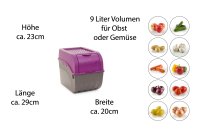 Novaliv Gemüseboxen Kartoffelboxen Vorratsbehälter 3,5l bis 9l (Lila, 1x 9l)