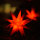 Novaliv Weihnachtsstern 3D LED Rot 8 cm 18 Zacker