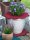 Novatool Kokos-Mulchscheiben |Ø 37cm|Blume|rot| Kokos-Matte mit Loch Kübelabdeckung | Ganzjährig für Topfpflanzen | Winterschutz-Pflanze Abdeckscheibe Frostschutz