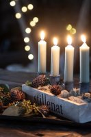 Novaliv 4x Stabkerzenhalter grau I Kerzenpick 7,1 x Ø 2,8 cm Kerzenstecker für Adventskranzdekoration I Kerzenspieß Kerzenleuchter I Dekoration Weihnachten