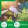 Novatool Kokosziegel Humusziegel Kokoserde | 5 Liter | Blumenerde grob Zimmerpflanzen 650g 20x5,5x10cm Gartenerde Kokosziege Quelltabletten Kokos Steu und Substrate Kokosblumenerde Pflanzenerden