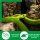 Novatool Kokosziegel fein | gepresste bio Humusziegel | Terrariumerde | 650g 20x5,5x10 | Quelltabletten | Kokos Steu und Substrate Hobby Terraristik Aquaristik Bodengrund Terrarium Erde für Reptilien