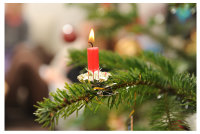Novaliv 10er Pack Baumkerzenhalter Clip GOLD Mini Ø 1,5 cm Zapfenform Metall Aufhänger Weihnachtsbaum Christbaumschmuck
