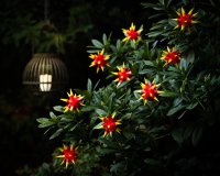 Novaliv Weihnachtsstern LED Dekosterne 2er Sparset Gelb-Rot 16cm Timerfunktion nur Innen mit 1,5m Kabel und Batteriefach für 3 AA Batterien 3D Stern 18 Zackig Leuchtstern LED Weihnachtsbeleuchtung