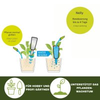 Scheurich 2x Wasserspender Nelly Grün Gießkanne 240 ml Pflanzen Deko aus Keramik Ceramics Bewässerungskugel Pflanzbewässerung mit Tonspitze