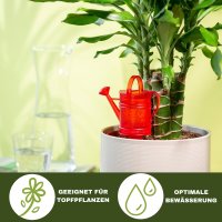 Scheurich 2x Wasserspender Nelly Rot Gießkanne 240 ml Pflanzen Deko aus Keramik Ceramics Bewässerungskugel Pflanzbewässerung mit Tonspitze
