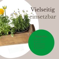 Novaliv Holzkiste Vintage 30 x 15 x 10 cm Alte Ziegelform Holz EIN KAMMER Allzweckkiste aus recyceltem Altholz Jede Form EIN Unikat - Geschenkkiste