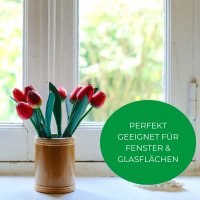Novaliv Fensterwischer 25 cm + 35 cm + 45 cm Einwascher aus Vlies Einschäumer zum Fensterputzen Fensterwischer Fensterreiniger Fenstereinwäscher Fensterreinigung Fensterputzer