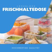 LocknLock Dose HPL896 Vorratsdose Deckel mit Griff 21 L - Maße (LxBxH): 456 x 300 x 225 mm - Lebensmittelbehälter Futter Box Katzenfutter Aufbewahrungsbox - Lock and Lock Dosen-Boxen Futtertonne