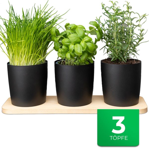 Novaliv Stilvolle Kräuterstation 3er Set mit Holzunterlage - Kräutertopf für jede Fensterbank, Für frische Küchenkräuter, Kräutergarten für die küche, Kräuterbeet indoor, Blumenkasten, Pflanzentopf