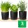 Novaliv Stilvolle Kräuterstation 3er Set mit Holzunterlage - Kräutertopf für jede Fensterbank, Für frische Küchenkräuter, Kräutergarten für die küche, Kräuterbeet indoor, Blumenkasten, Pflanzentopf