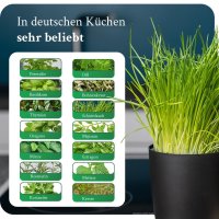 Novaliv Stilvolle Kräutertopf aus Kunststoff Schwarz für jede Fensterbank, Für frische Küchenkräuter, Kräutergarten für die küche, Kräuterbeet indoor, Zimmerpflanzen, Pflanzentopf, Pflanzschale