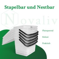 Novaliv Waschmittelbox mit Deckel 4 Liter Transparent und Dosierlöffel 23,5 x 18 x 18,5 cm Box Waschpulver Aufbewahrungsbox mit Henkel Waschmittel Aufbewahrung Waschmittelbehälter Waschpulverbehälter