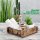 Novaliv Holzkiste Vintage Weiß 30 x 25 x 8 cm Alte Ziegelform Holz Groß Allzweckkiste aus recyceltem Altholz Jede Form EIN Unikat – Vintage Kiste Deko
