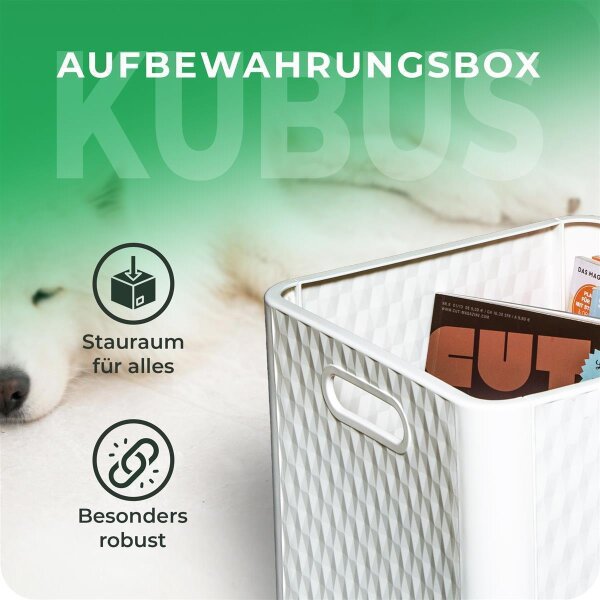 Novaliv Kallax Boxen 30x30x30 cm Weiß – Ideal für Ordnung
