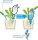 Scheurich Wasserspeicher Bördy XL | 1x Weiß | 620ml Füllmenge | Bewässerungskugel klein mit Ton Fuß | Wasserspender Pflanzen und Blumen Terrakotta Stiel