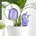 Scheurich Wasserspender Bördy M | 1 x Lila | 220ml Füllmenge | Bewässerungskugel klein mit Ton Fuß | Wasserspender Pflanzen und Blumen Terrakotta Stiel