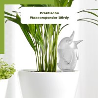 Scheurich Wasserspender Bördy S | 1 x Klar | 90ml Füllmenge | Bewässerungskugel klein mit Ton Fuß | Wasserspender Pflanzen und Blumen Terrakotta Stiel