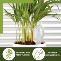 Scheurich Wasserspender Bördy M | 1 x Klar | 220ml Füllmenge | Bewässerungskugel klein mit Ton Fuß | Wasserspender Pflanzen und Blumen Terrakotta Stiel