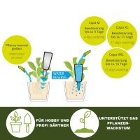 Scheurich Wasserspender Copa XL | 2er Set Grün/ Transparent | 500 ml Füllmenge | Bewässerungskugel klein mit Ton Fuß | Wasserspender Pflanzen und Blumen Terrakotta Stiel