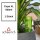 Scheurich Wasserspender Copa XL | 1x Grün | 500 ml Füllmenge | Bewässerungskugel klein mit Ton Fuß | Wasserspender Pflanzen und Blumen Terrakotta Stiel