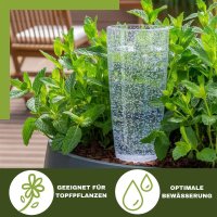 Scheurich Wasserspender Copa XL | 1x Transparent | 500 ml Füllmenge | Bewässerungskugel klein mit Ton Fuß | Wasserspender Pflanzen und Blumen Terrakotta Stiel