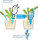 Scheurich Wasserspender Bördy XXL |2er Set Transparent/Grün | 1000 ml Füllmenge | Bewässerungskugel klein mit Ton Fuß | Wasserspender Pflanzen und Blumen Terrakotta Stiel